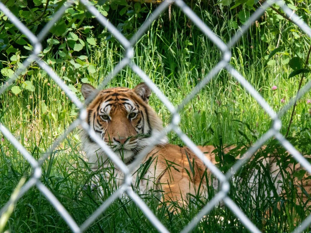 Handige bel tips voor elk telefoongesprek